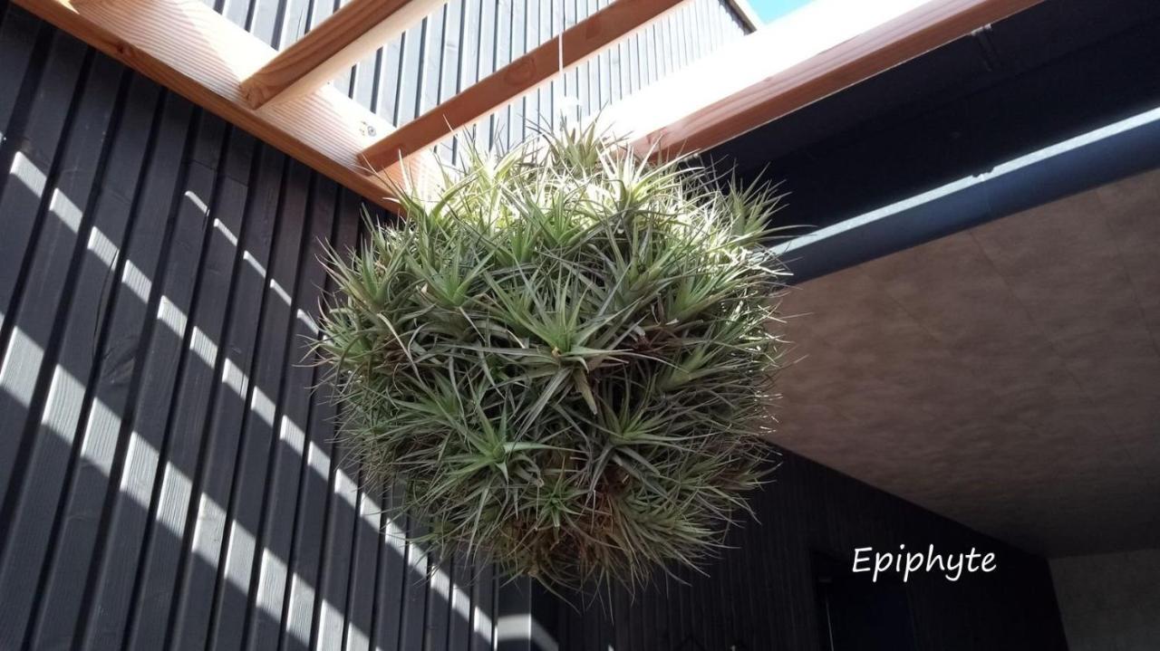 Epiphytes Et Succulentes Apartment Paimpol Ngoại thất bức ảnh